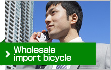 Wholesale import bicycle