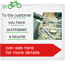 To the customer you have purchased a bicycle [can see here for more details]